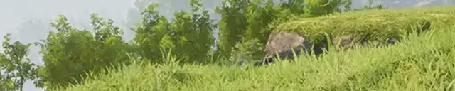Grass