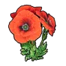 Beautiful Flower