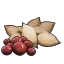 Berry Seeds's icon