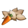 Carrot Seeds