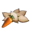 Carrot Seeds's icon