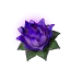 Carrying Lotus (S)'s icon