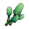 Cavern Mushroom