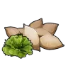Lettuce Seeds
