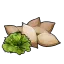 Lettuce Seeds's icon