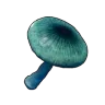 Mysterious Mushroom