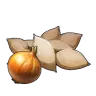 Onion Seeds
