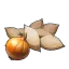 Onion Seeds's icon