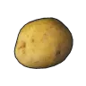 Potato