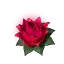 Power Lotus (S)'s icon