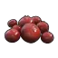 Red Berries's icon