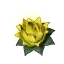 Stamina Lotus (S)'s icon