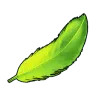 Tocotoco Feather