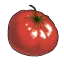 Tomato's icon