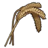 Wheat