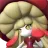 Mycora