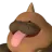 Polapup Terra