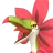 Tropicaw